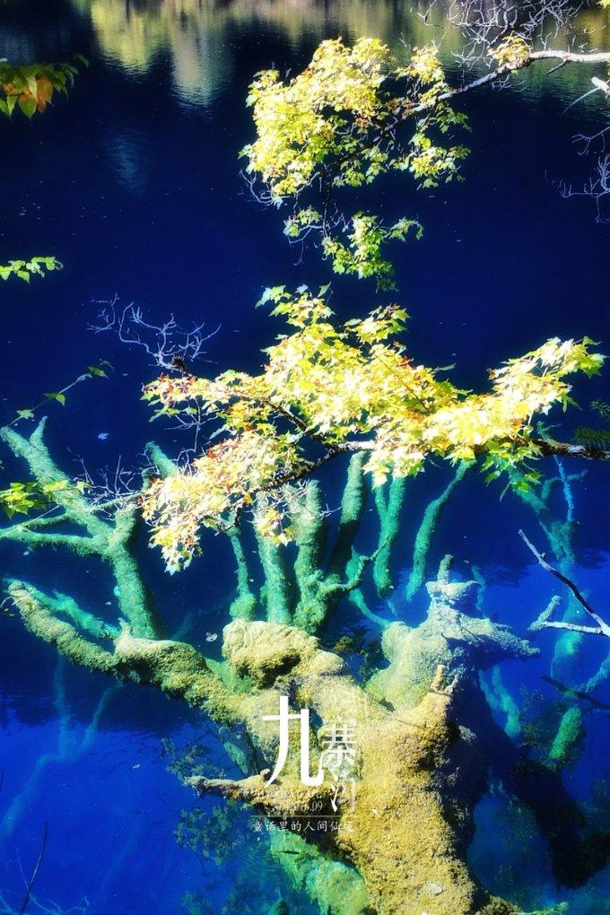 春节网络整治行动揭秘:租男女友引流,小心掉入陷阱!